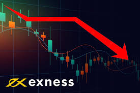All You Need to Know About Exness Trading Platform